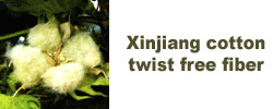 Xinjiang cotton twist free fiber